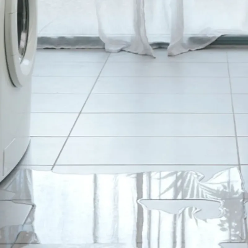 Appliance Leak Cleanup in Playita Cortada, PR