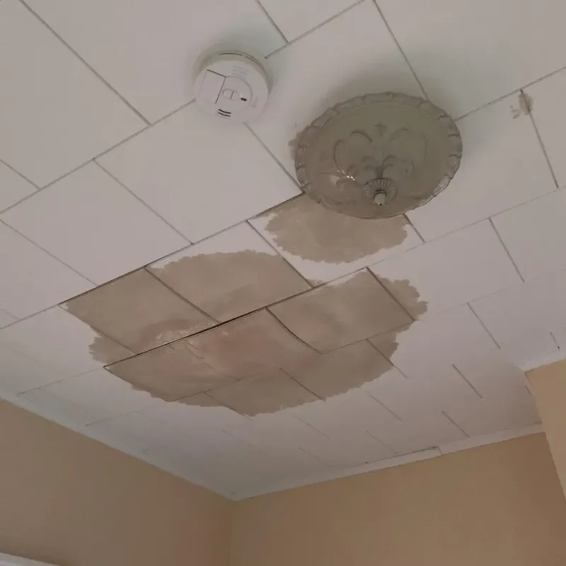 Ceiling Water Damage Repair in Playita Cortada, PR