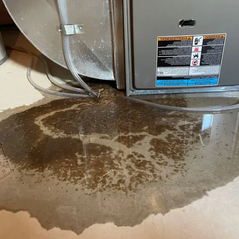 Pipe Burst and Leak Restoration in Playita Cortada, PR